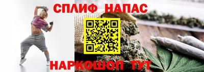 МДПВ Канаш