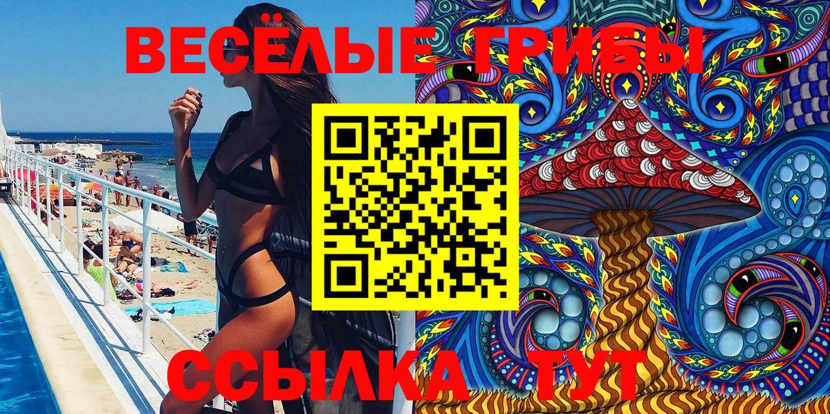 Псилоцибиновые грибы Psilocybe Клинцы
