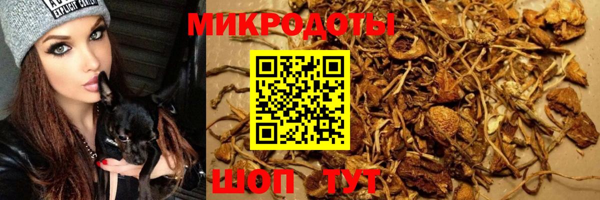 Галлюциногенные грибы прущие грибы  Вход с VPN  Клинцы 